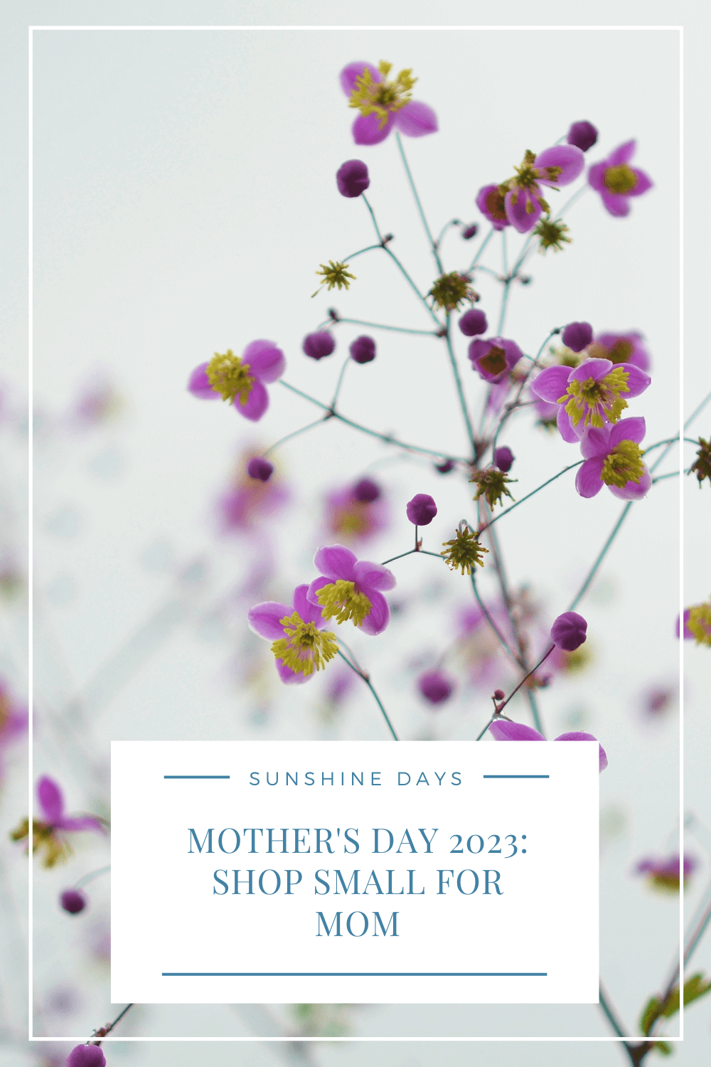 gifts for mom pinterest image