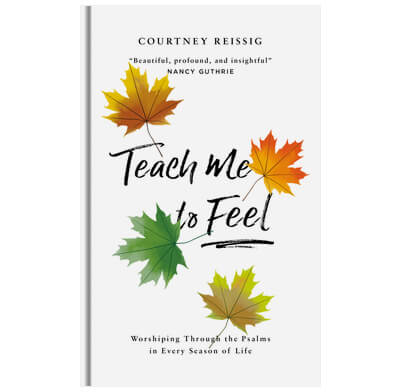 Teach me to feel cover