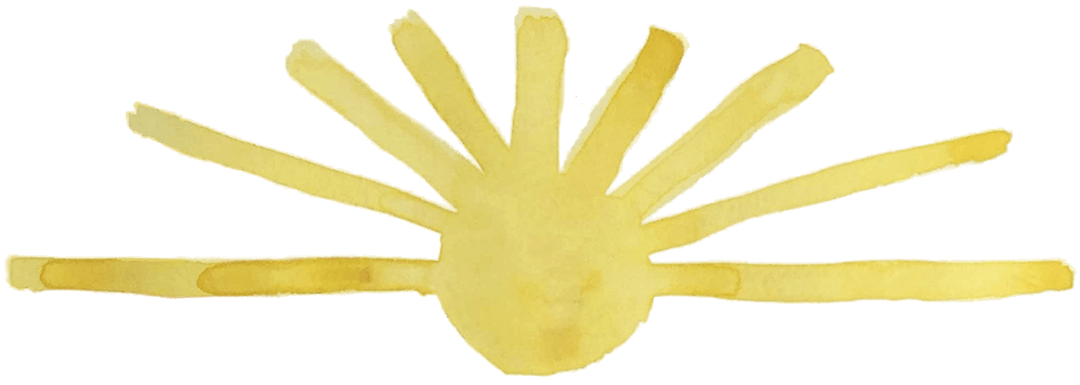 sunshine divider